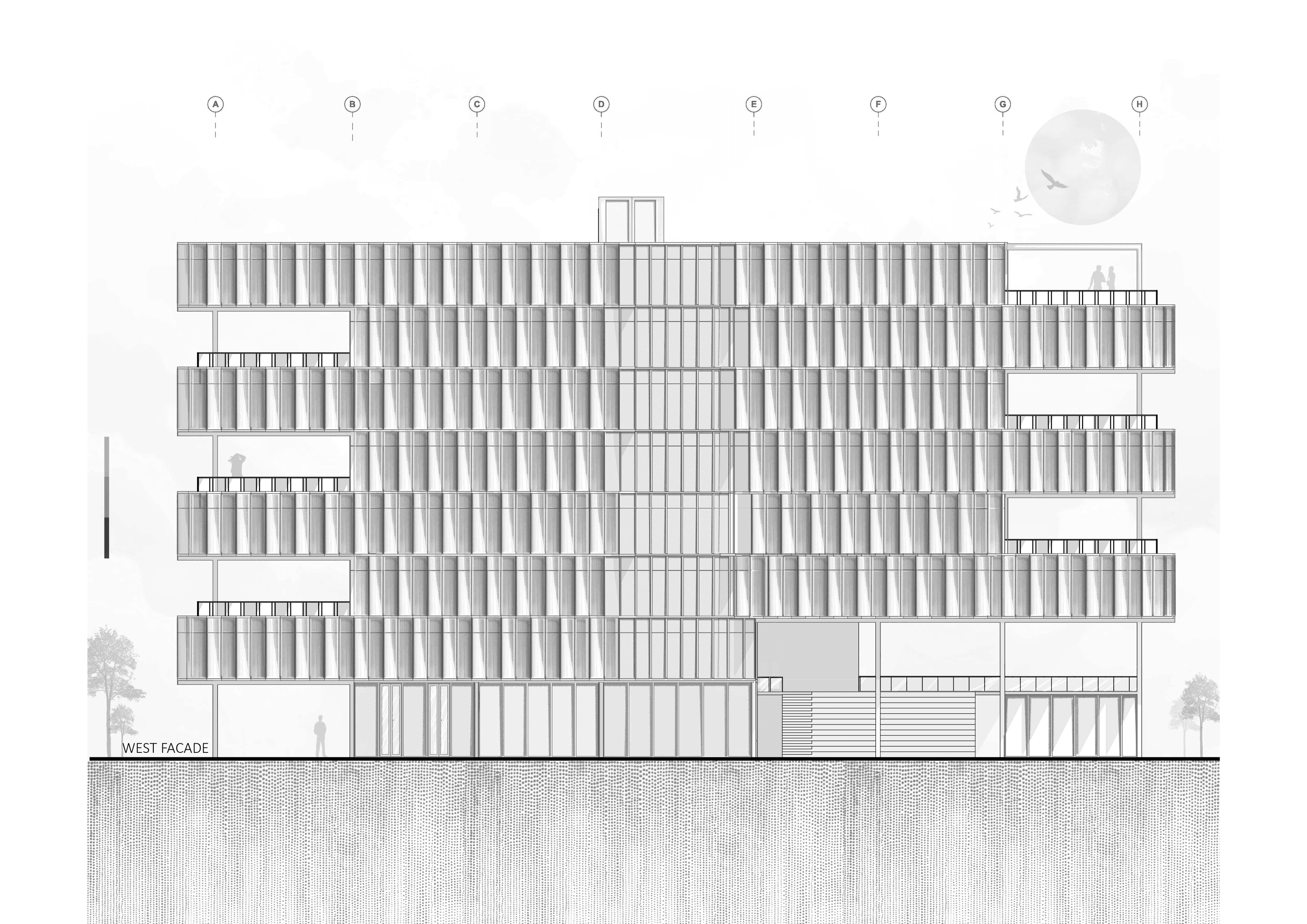 Sections & Elevations 3